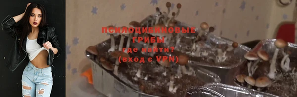 тгк Новодвинск