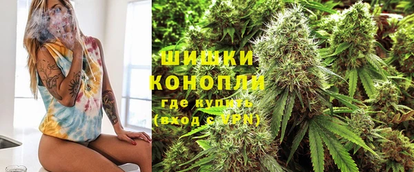 амф Абаза