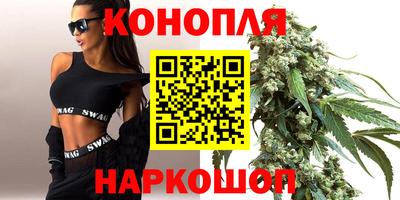 гашик Гатчина