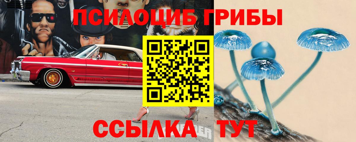 Псилоцибиновые грибы MAGIC MUSHROOMS  Вход с VPN  Костомукша 